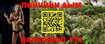 гашик Бузулук