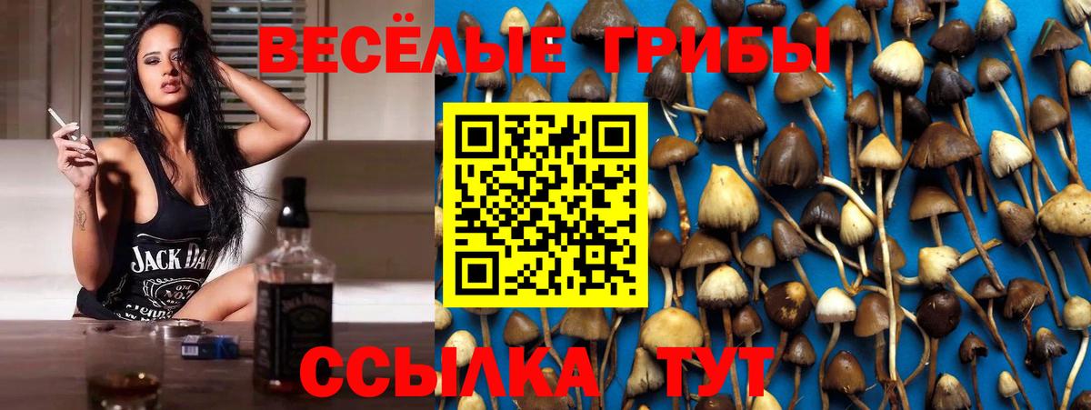Галлюциногенные грибы Cubensis Сегежа