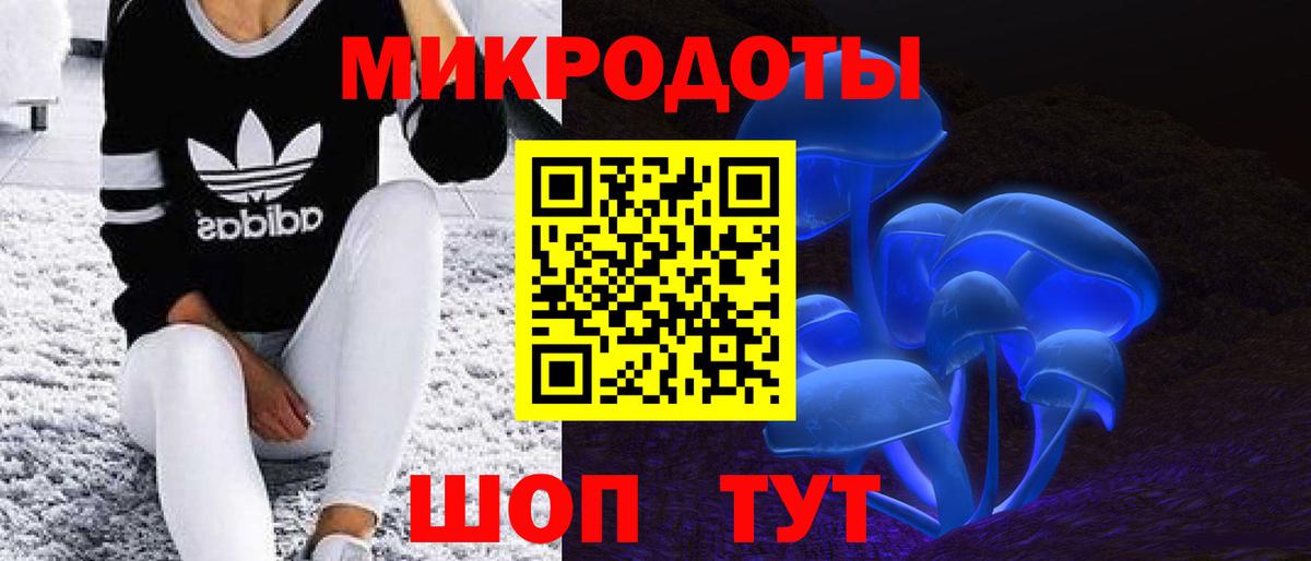 Сегежа  Псилоцибиновые грибы мухоморы  Вход с VPN 